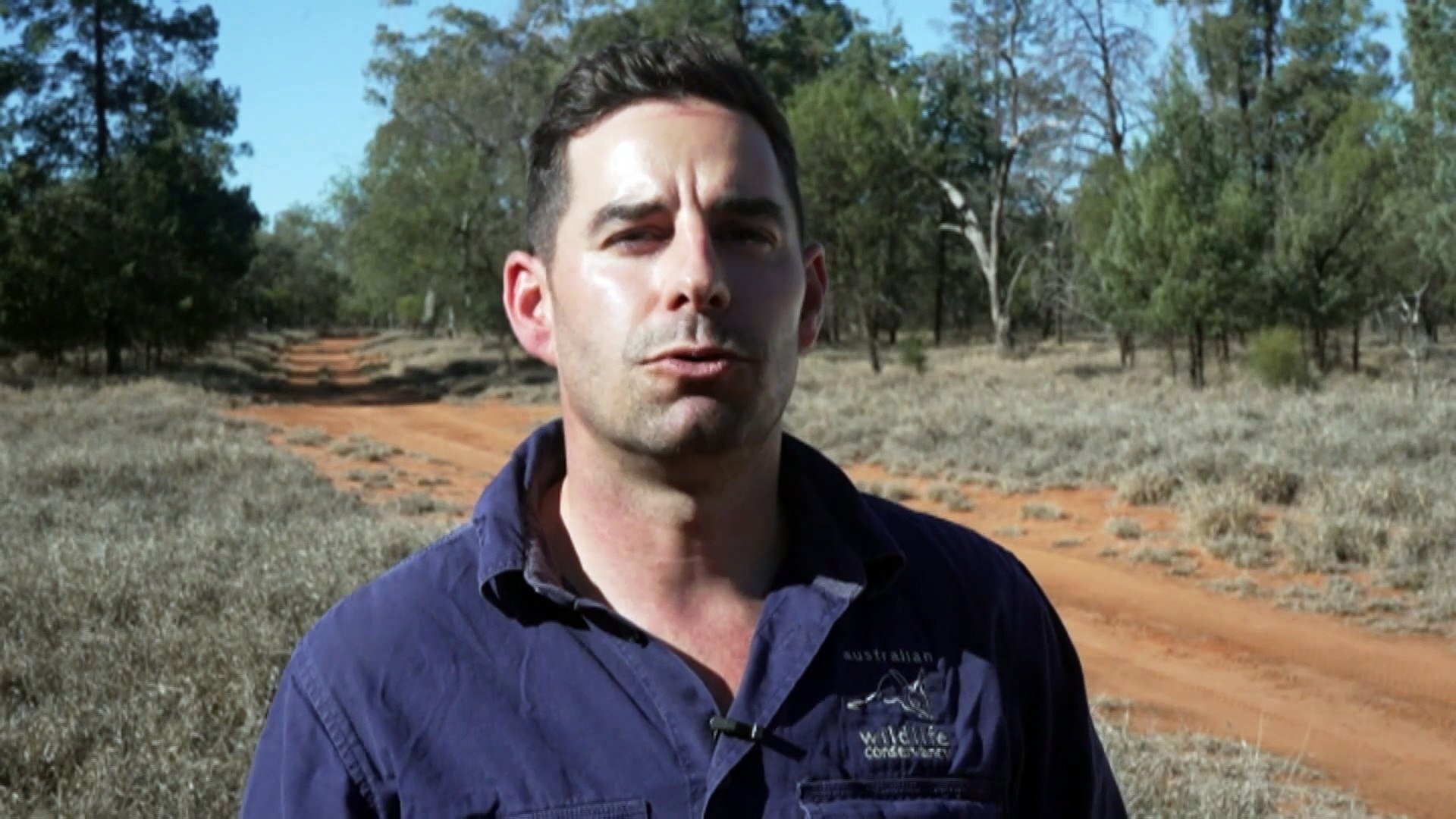 ⁣New technology being used to explore outback wombat burrows