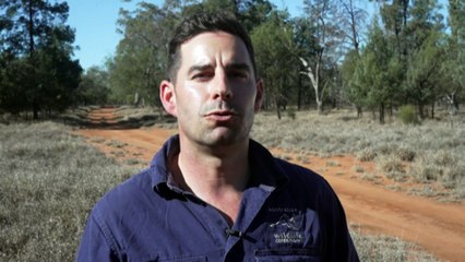 New technology being used to explore outback wombat burrows