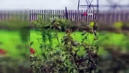 İngiliz basınından bomba iddia: Prigojin'in uçağı alkollü içecek kasasına yerleştirilen bombanın patlaması sonucu düştü