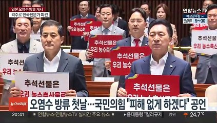 오염수 방류에…여 "묻지마 반일 선동"…야 "환경재앙 공범"