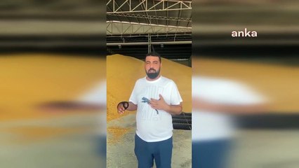 Çiftçiler, mısır fiyatlarına tepki gösterdi