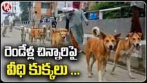 Street Dogs Strikes Two Years Old Child At Thirumalayapalli  _ Raiparthy  Warangal _ V6 News (4)