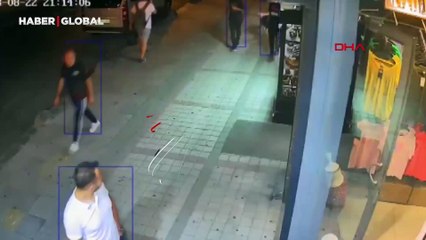 Esnafın sahiplendiği kedi köpeklere savaş açtı: '4 ayaklıların hepsine gider yapıyor'