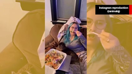 Vídeo hilário: gatos nervosinhos resolvem tudo na pancada