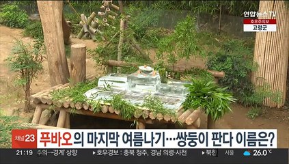 푸바오의 마지막 여름나기…쌍둥이 판다 이름은?