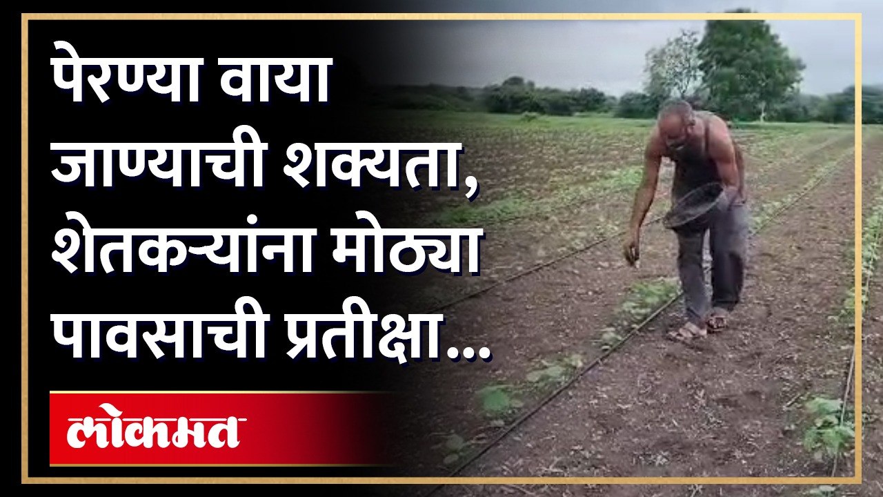 आठ दिवसांत पावसाने हजेरी नाही लावली तर मराठवाड्यातील शेतकऱ्यांवर मोठं संकट..