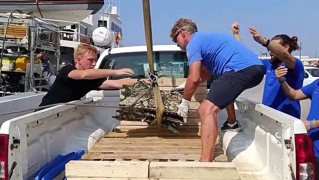 Nuova campagna di scavi nel mare tra Levanzo e Favignana