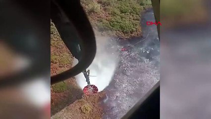 Urla'da Orman Yangını Çıktı