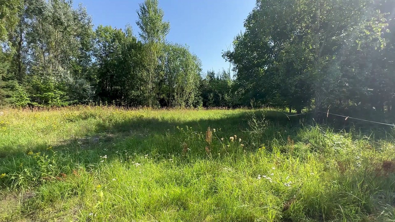 Zaloguj się do lasu - akcja w Chodzieży