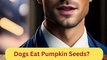 Dogs Eat Pumpkin Seeds | Dog Food Review | Zudaan