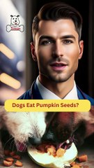 Dogs Eat Pumpkin Seeds | Dog Food Review | Zudaan
