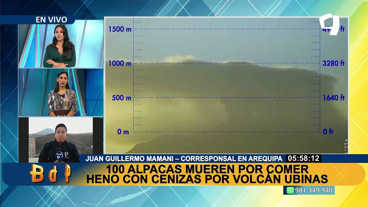 Arequipa: cerca de 100 alpacas mueren producto a erupción de volcán Ubinas