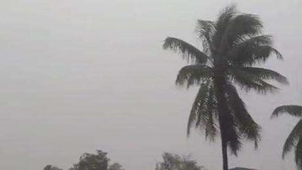 కోనసీమ జిల్లా: ఈదురుగాలులతో భారీ వర్షం