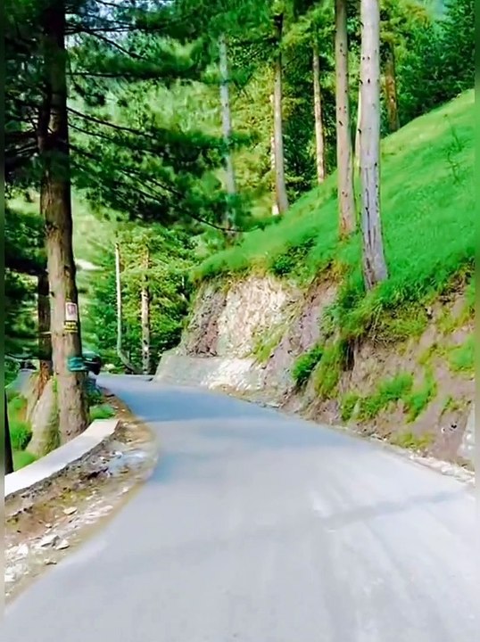 Beautiful Nathia Gali Today Views Pakistan