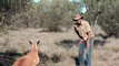 Don't mess with Mrs. Roger, the kangaroo, watch why she so angree just enjoy the video.