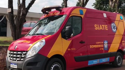 Tronco de árvore cai em homem que realizava corte em São Salvador