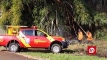 Apucarana foi a cidade do Paraná que mais registrou incêndios ambientais