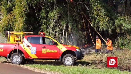 Apucarana foi a cidade do Paraná que mais registrou incêndios ambientais