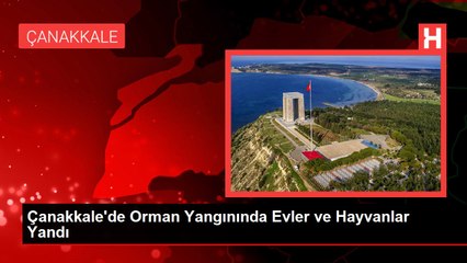 Çanakkale'de Orman Yangınında Evler ve Hayvanlar Yandı