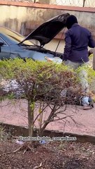 REVENGE PRANK ON FLOWER BOY THAT WENT TOO EXTREMED  UNTOUCHABLE COMEDIES AND FLOWER BOY