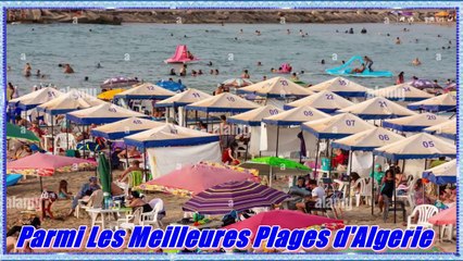 Parmi Les Meilleures Plages d'Algerie ⛱⛱  شواطئ من بين الأحسن في الجزائر