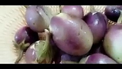 SaveTube.io-Organic Vegetables-(144p)