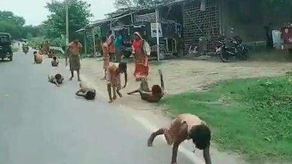 मधुबनी: बोल बम के जयकारों से गूंज उठा इलाका, श्रद्धालु दंडवत प्रणाम करते हुए जा रहे हैं बाबा के दरबार