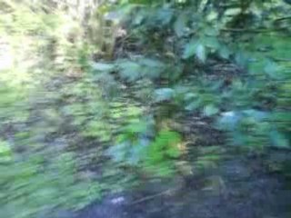 Yum'$ ZaZ'$ Ti'Joq TkT !!!