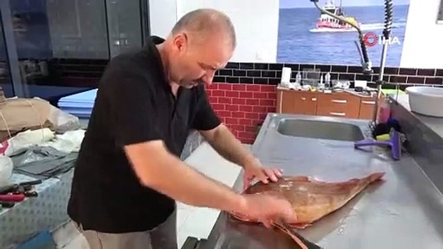 Ordu'da sürpriz balık avı, tam 5 kilo: Kilosu 500 TL!
