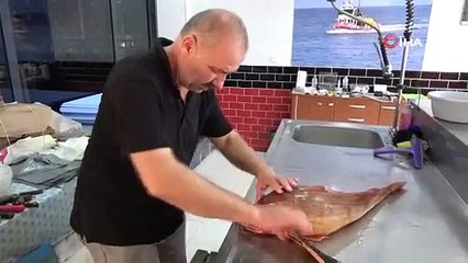 Ordu'da sürpriz balık avı, tam 5 kilo: Kilosu 500 TL!
