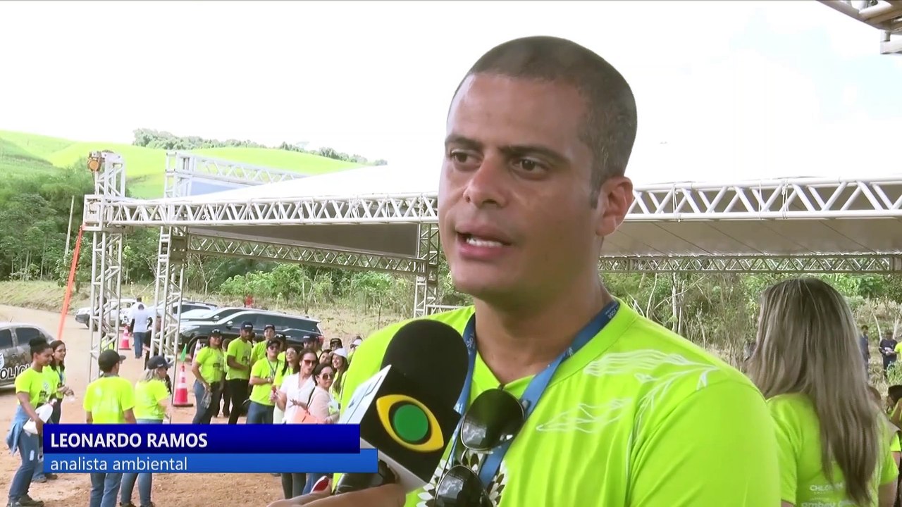 Mais de 4 mil mudas de árvores nativas plantadas em Igarassu