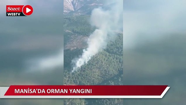 Manisa’da orman yangını