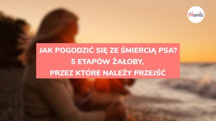 Jak pogodzić się ze śmiercią psa? 5 etapów żałoby, przez które należy przejść