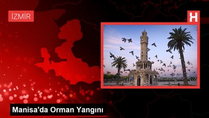 İzmir Buca'da Ormanda Yangın Çıktı
