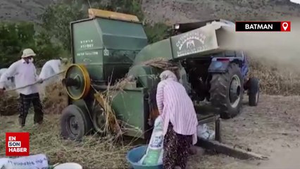 Batman'da kavurucu sıcaklar nedeniyle çiftçiler gece çalışıyor