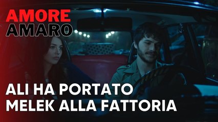 Ali ha portato Melek alla fattoria | Amore Amaro - Episodio 2