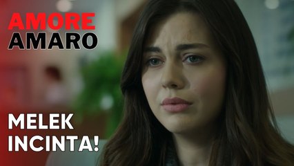 Melek incinta! | Amore Amaro - Episodio 2