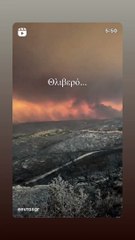 Δέσποινα Βανδή - «Θλιβερό»:  Το βίντεο που ανέβασε από την πυρκαγιά στον Έβρο