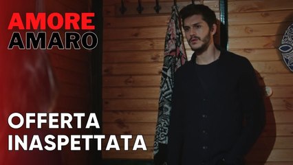 Offerta inaspettata | Amore Amaro - Episodio 3