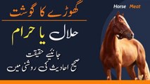 Horse Meat Halal or Haram | گھوڑے کا گوشت حلال یا حرام