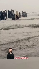 Beautiful Cats  l Pet Cat l Imran Zaman