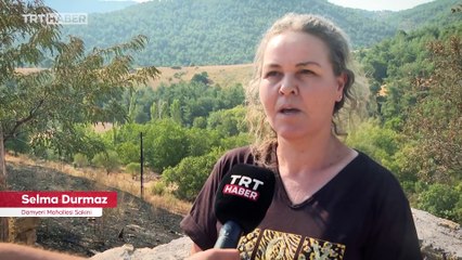 Çanakkale'deki yangın iddiaya göre elektrik direğinden başladı