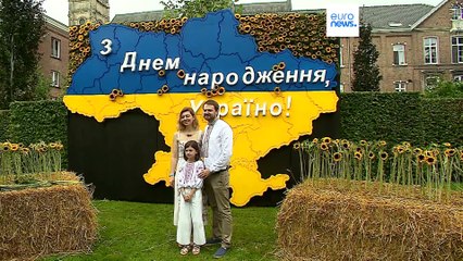 В День независимости Украины союзники обещали ей дальнейшую поддержку
