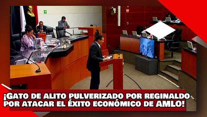 ¡VEAN! ¡fantoche gato de ALITO es pulverizado por Reginaldo por atacar el éxito económico de AMLO!