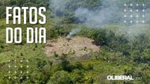 PF destrói plantações de maconha em reserva indígena do Alto Rio Guamá e quatro municípios