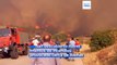 Los bomberos griegos luchan por controlar los incendios forestales, entre ellos incendios provocados