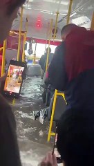 City Bus Floods in Buenos Aires