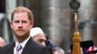 Royal Family Changes Official Website Again After Prince Harry's 'His Royal Highness' Title Removed
