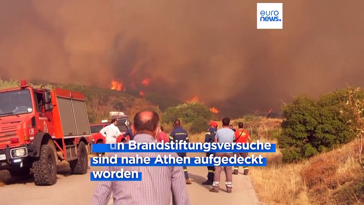 Vier Festnahmen nach Brandstiftungen - Zivilschutzminister empört sich