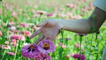 Jardines sostenibles y ahorro de agua: Cuidando la naturaleza en cada gota